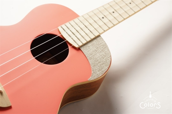 aNN-UC10 - Living Corral